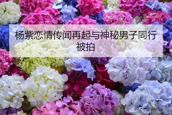 杨紫恋情传闻再起与神秘男子同行被拍